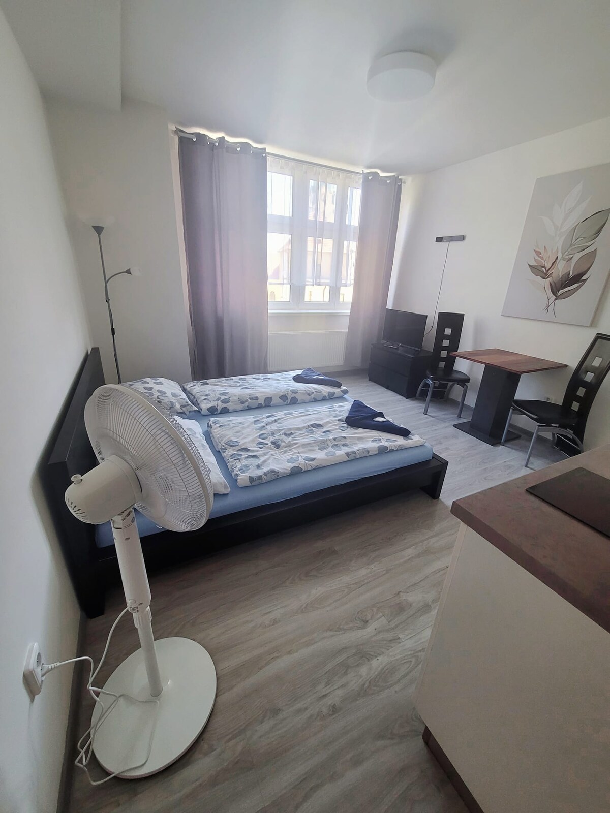 Apartmán Skořepka15 Brno centrum 409