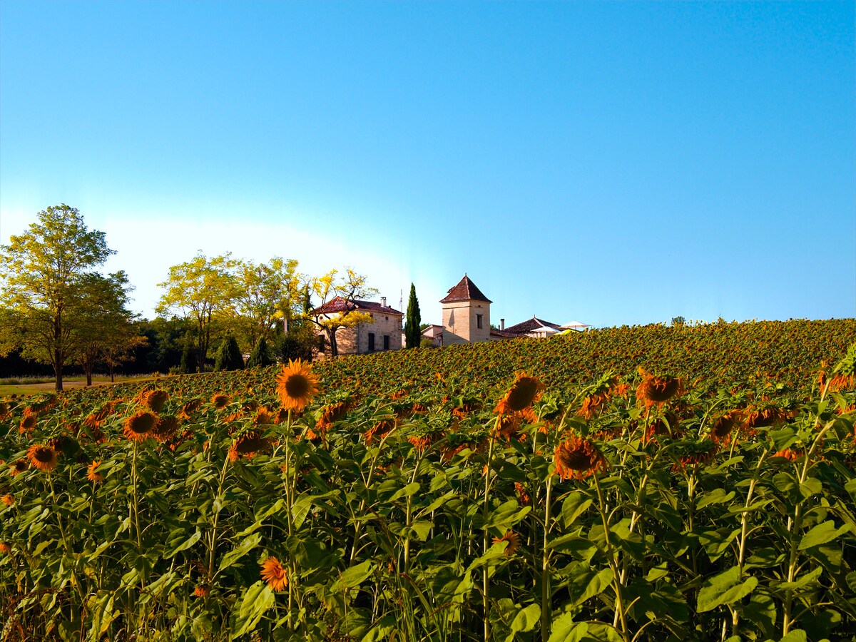 Gite 4 * Domaine Lamartine