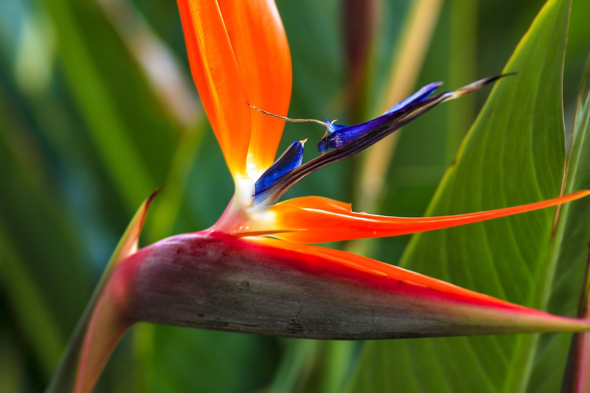 Lake Front Paradise-Nature & Mayan Culture Collide