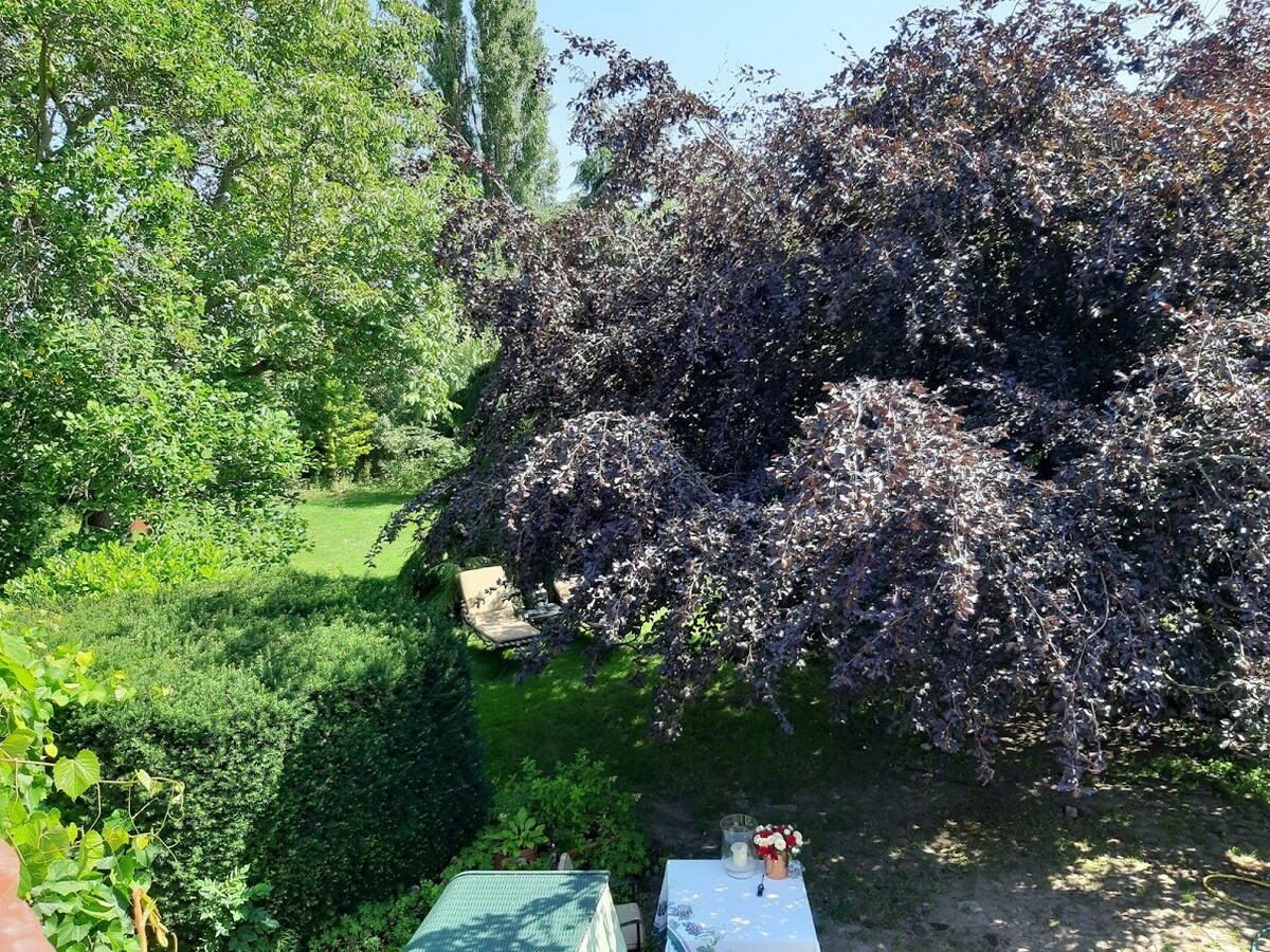 Auszeit - in Deiner Remise mit Dachterrasse