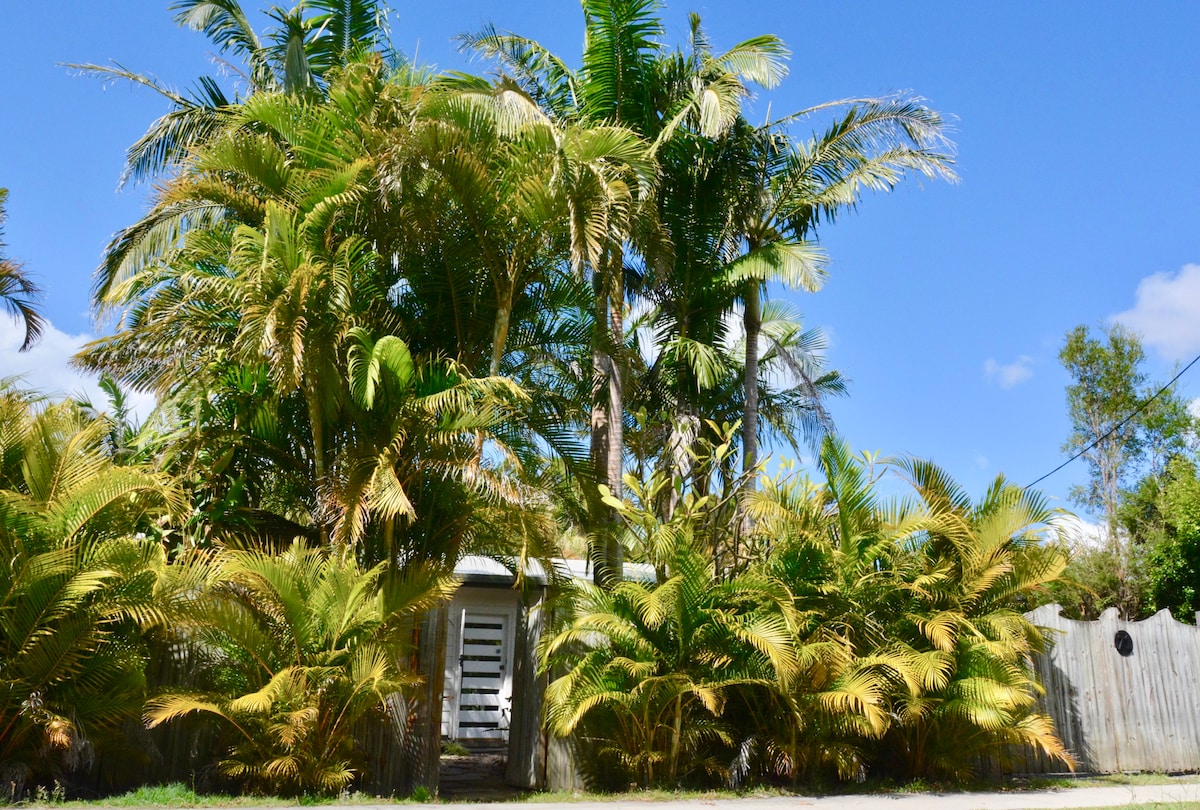 天堂棕榈村（ Paradise Palms ）