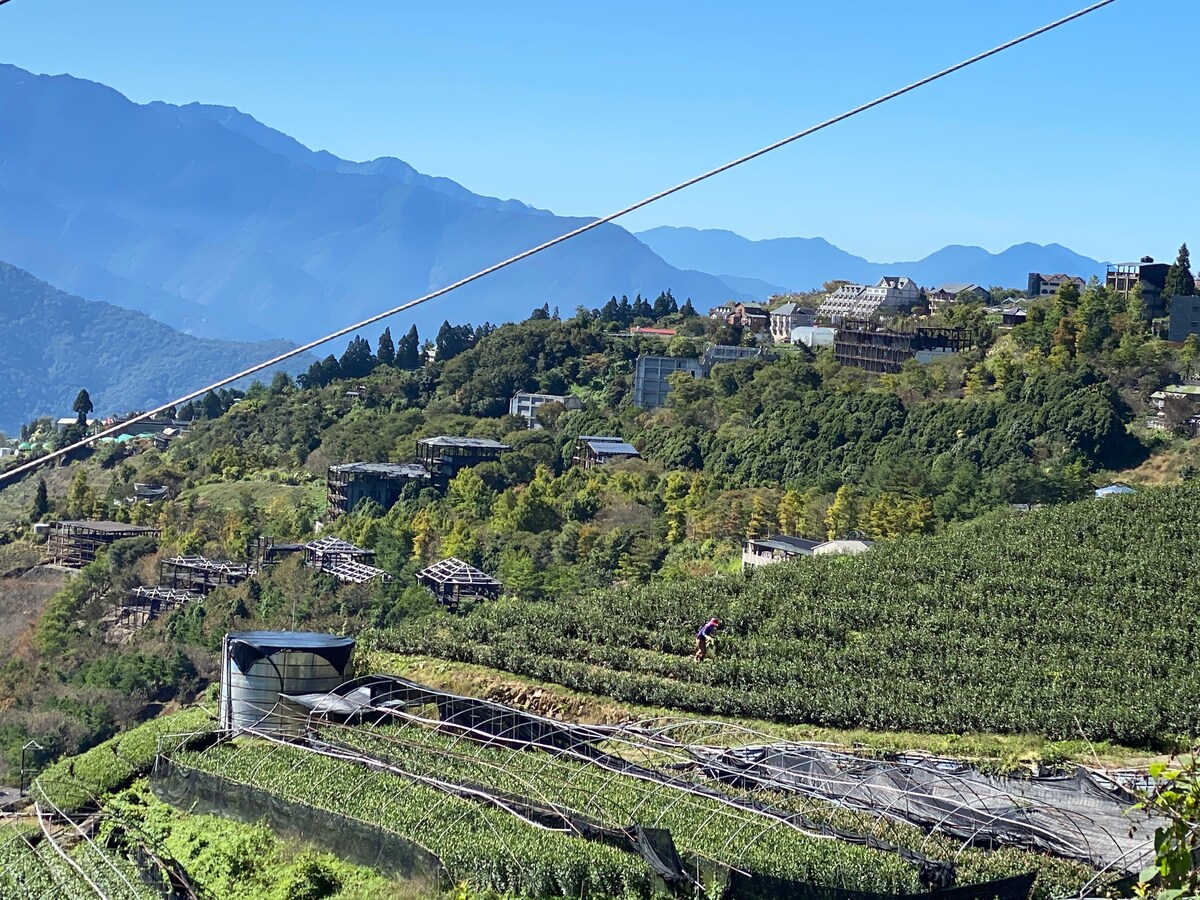 《清境農場》博望新村平價住宿～竹林小屋～