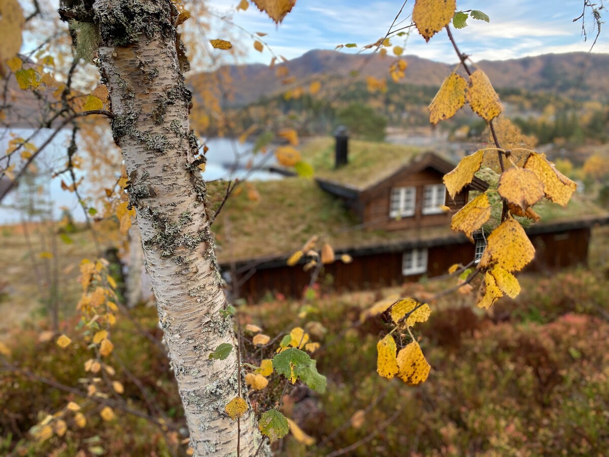 Fredly - Mountain Lakeside Cottage