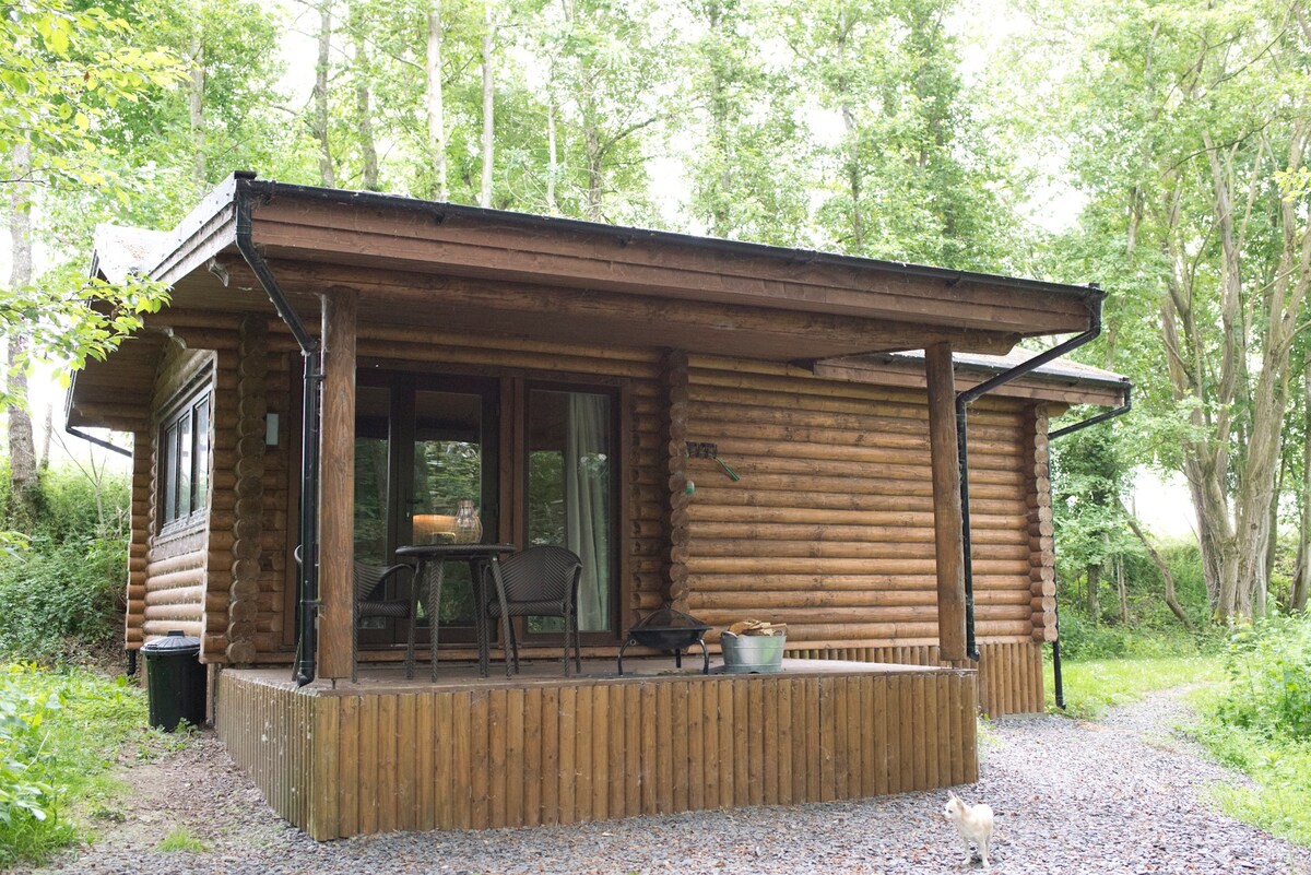 Log cabin in private woodland with lake