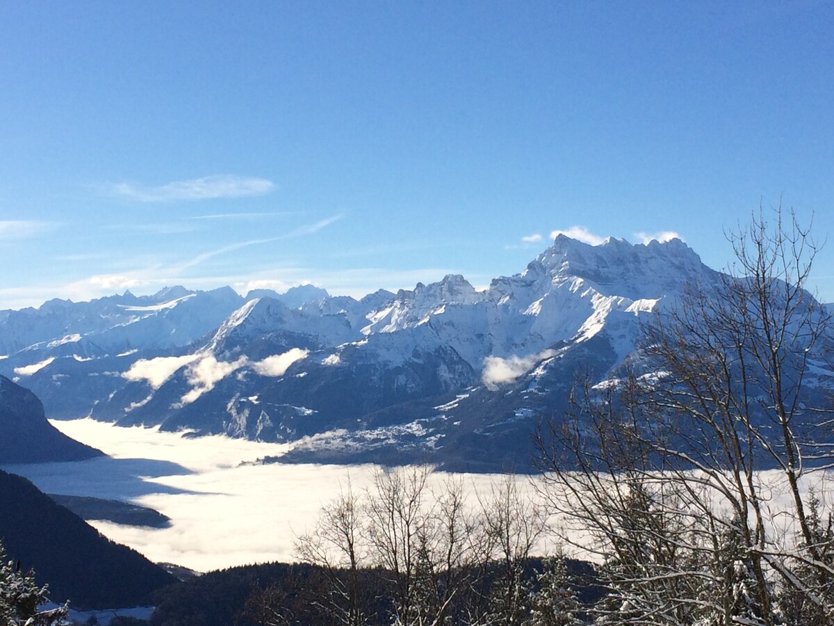 Splendide appartement 3 1/2 pièces, magnifique vue