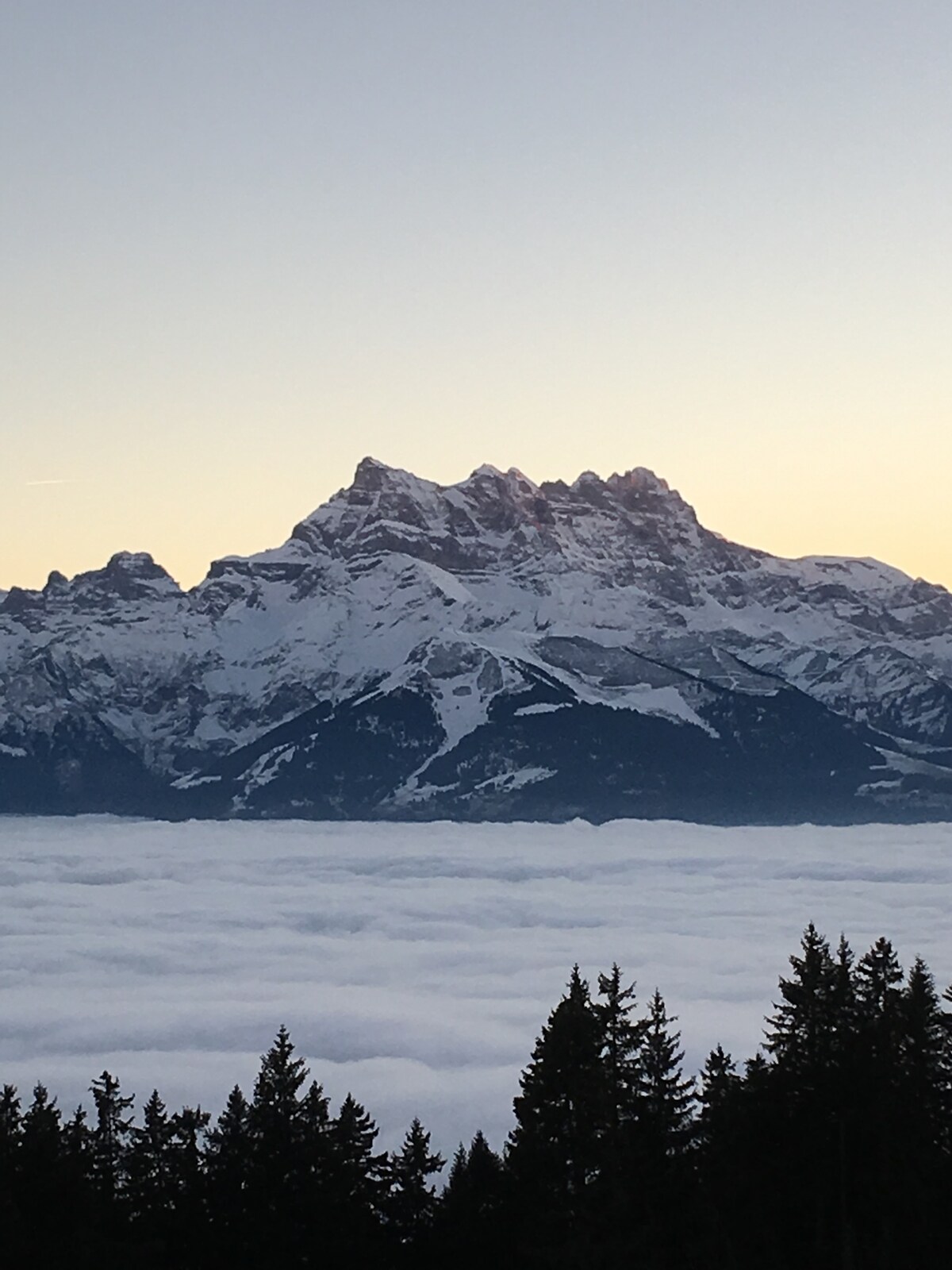 Splendide appartement 3 1/2 pièces, magnifique vue