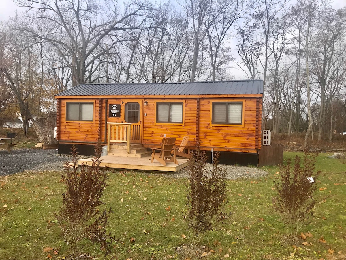 Seneca Lake Creekside Cabin A0