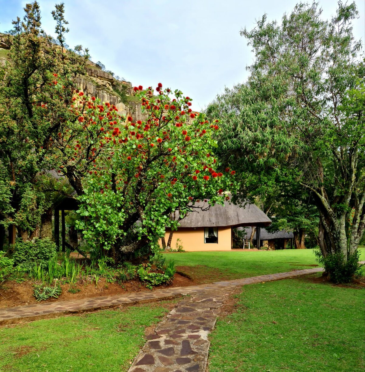 Drakensberg花园景观小屋（早餐）