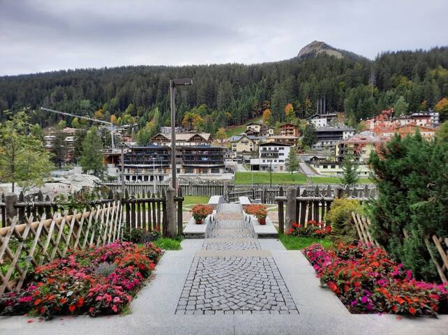 摩德纳迪-坎皮格里奥 (Madonna di Campiglio)的民宿