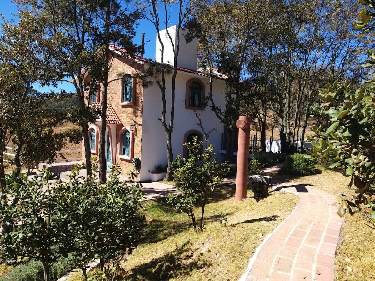 Cabaña Amealco Encino