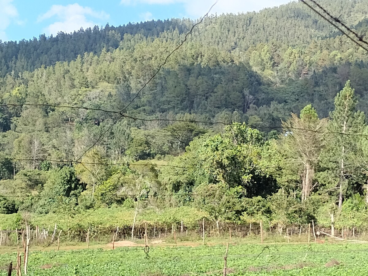 Cabaña Rustica en la Montaña