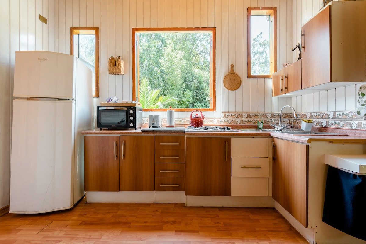 Cajon del Maipo家庭小木屋