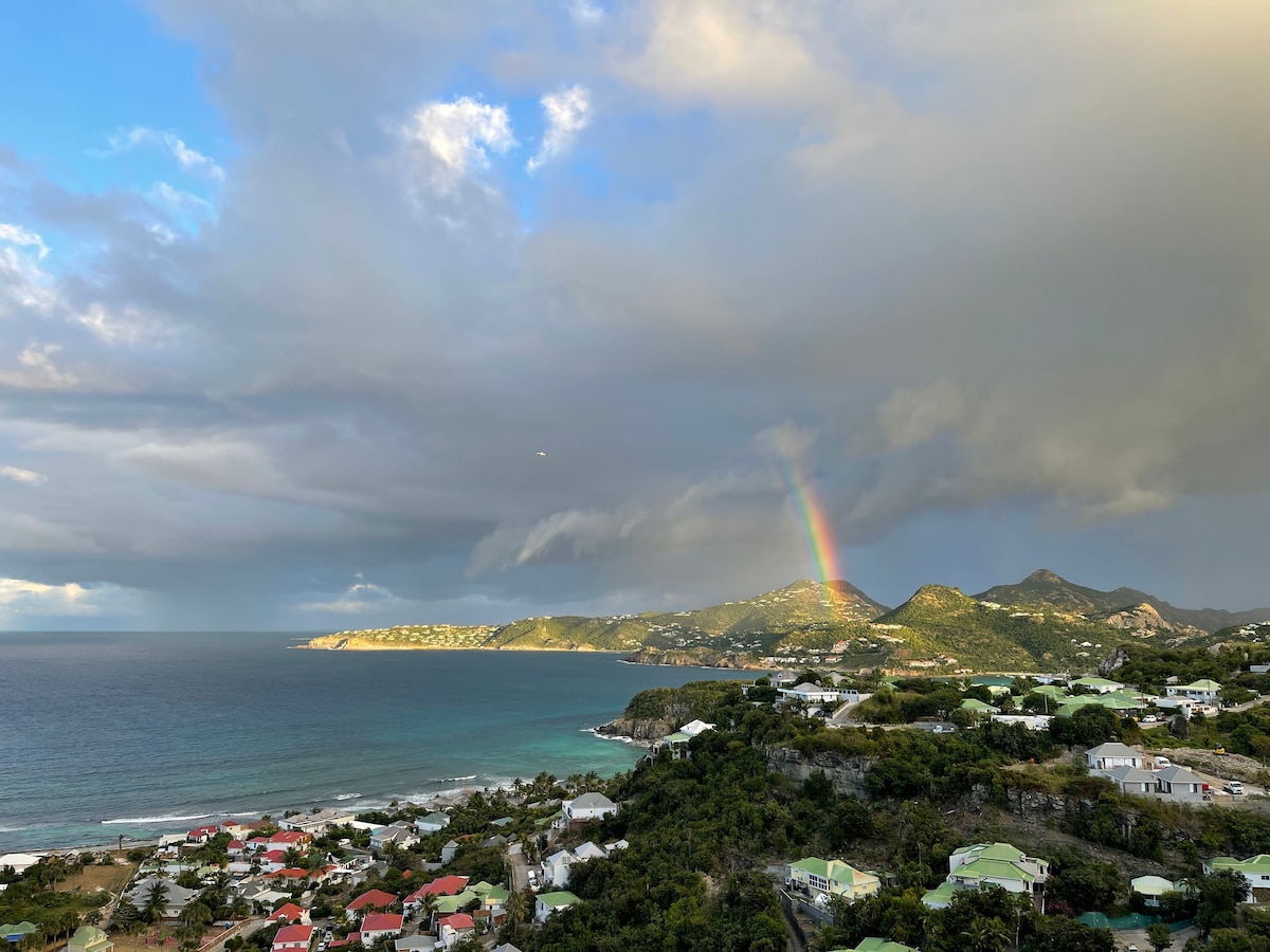 The Perfect View of Anse de Cayes/Gustavia