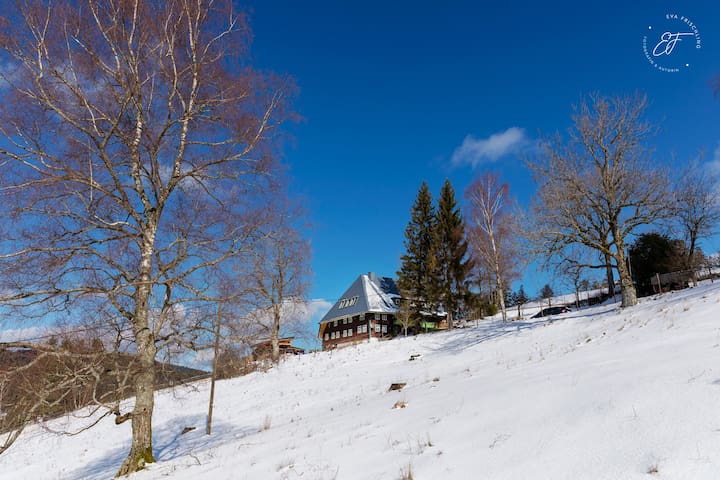 Triberg im Schwarzwald的民宿