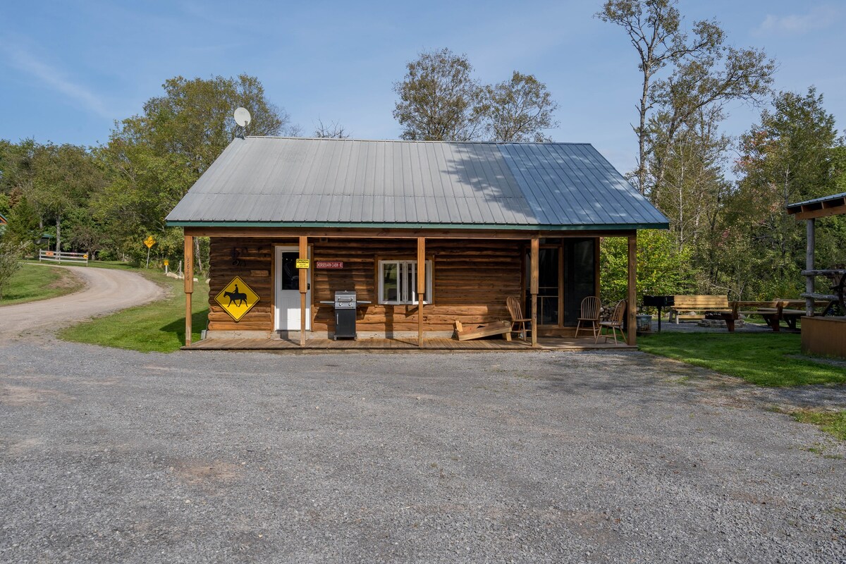 The Horse Barn Cabin