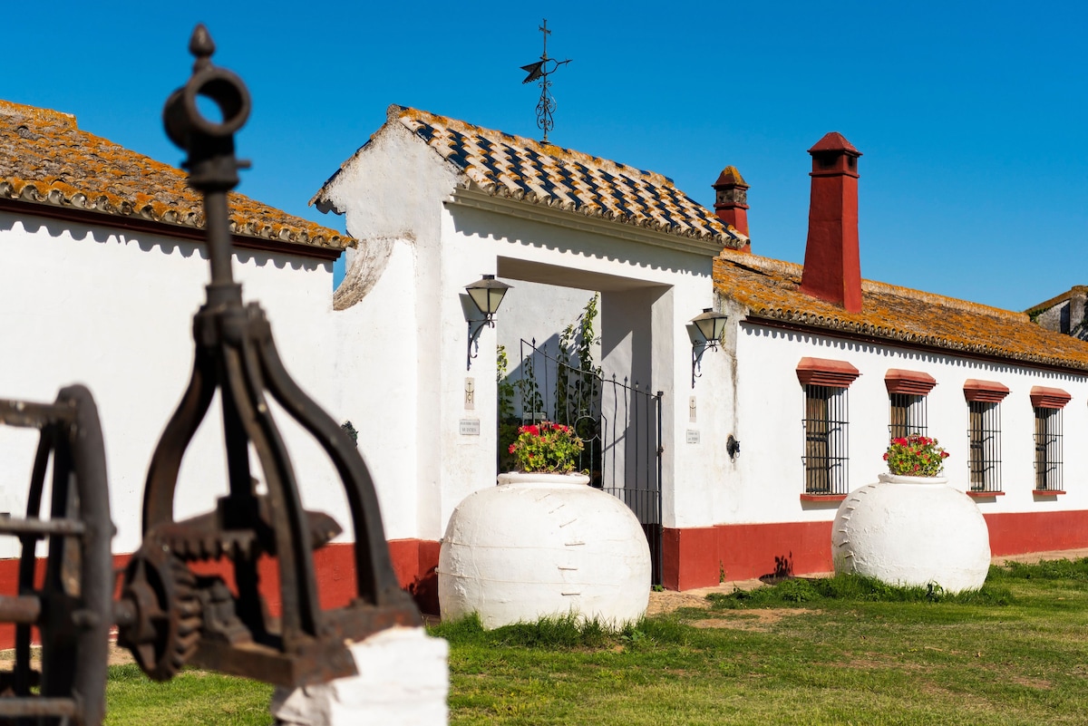 美丽的乡村别墅，位于Doñana市中心