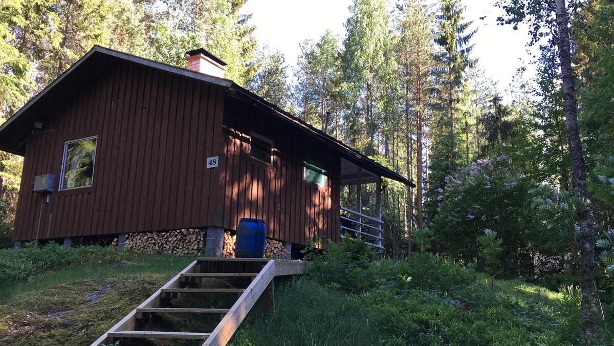 复古森林小屋，距离赫尔辛基50公里
