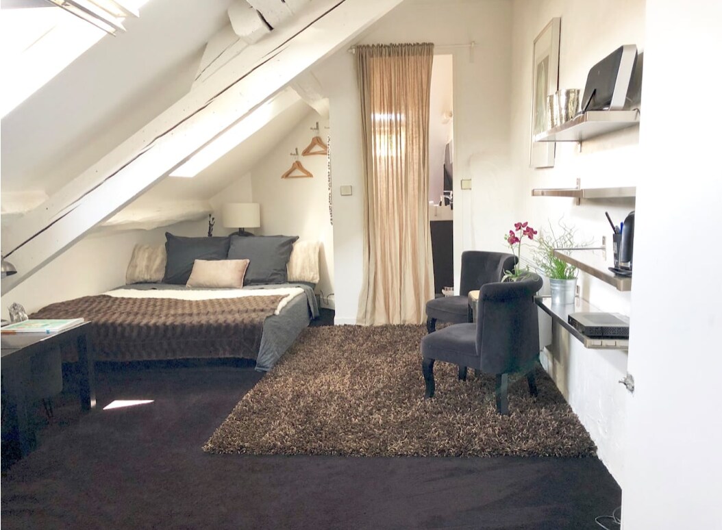 舒适且相连的单间公寓，位于枫丹白露（ Fontainebleau ）中心