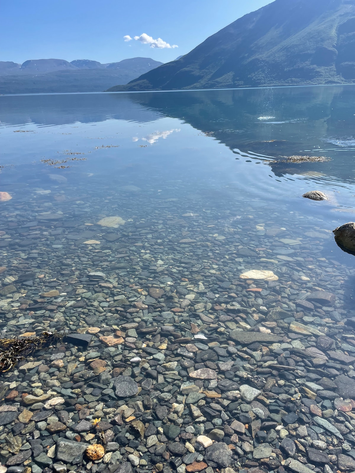 复古别墅，配备完美的徒步旅行设施