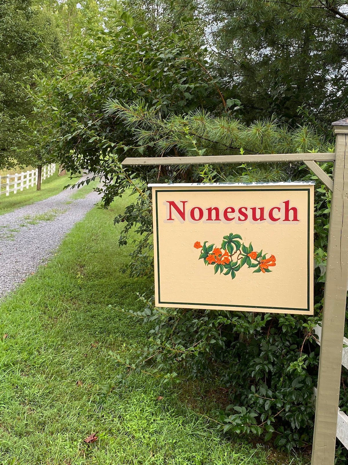 Nonesuch农场和客栈~ Shenandoah度假胜地