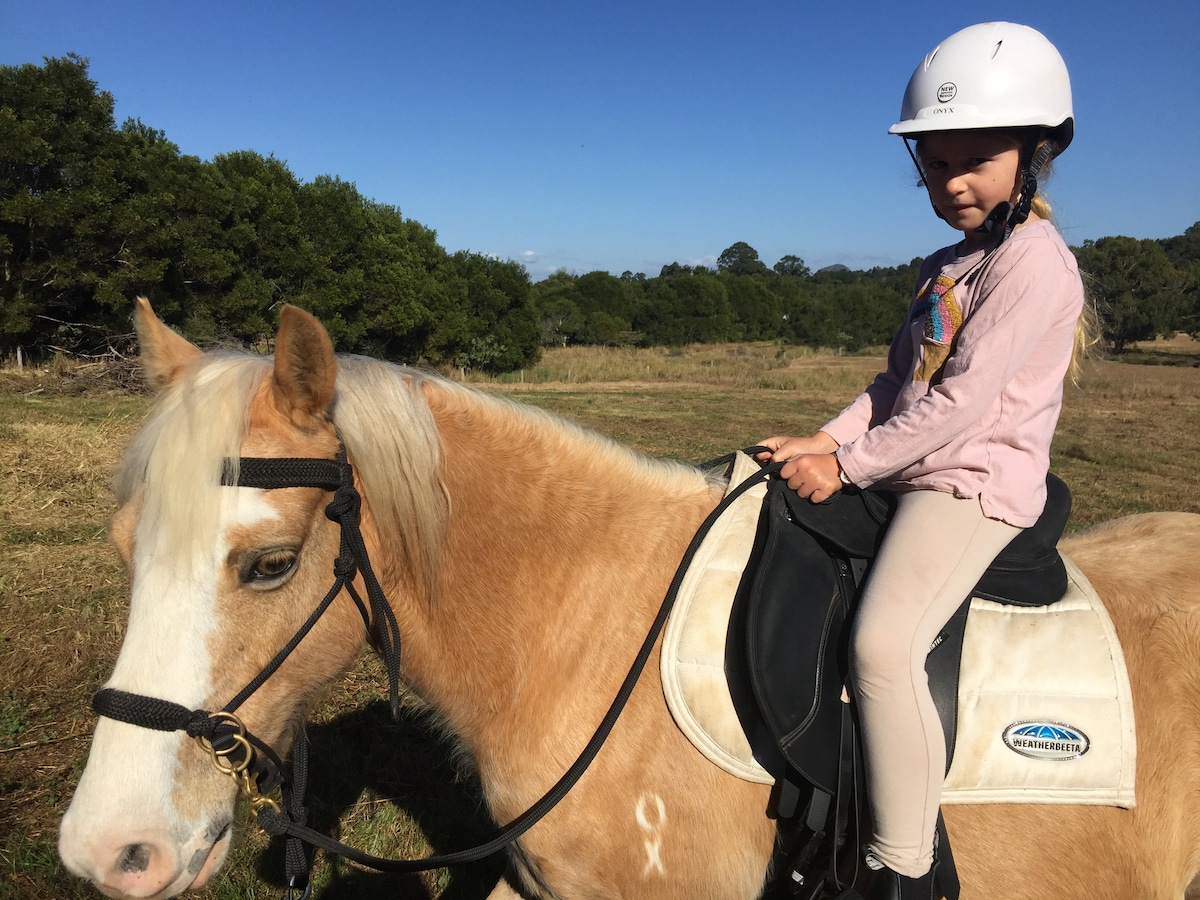 Lime Lodge Farmstay-Families-Horse Riders-Nature