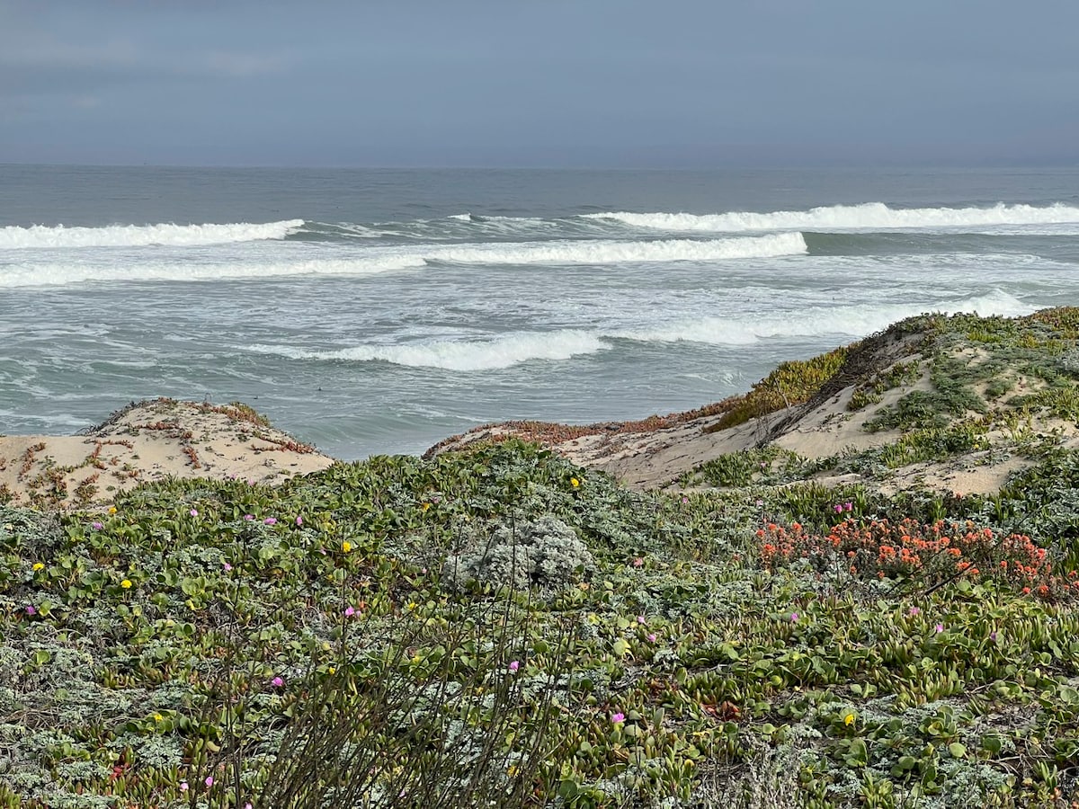 蒙特雷湾（ Monterey Bay Oasis on the Ocean ） ！