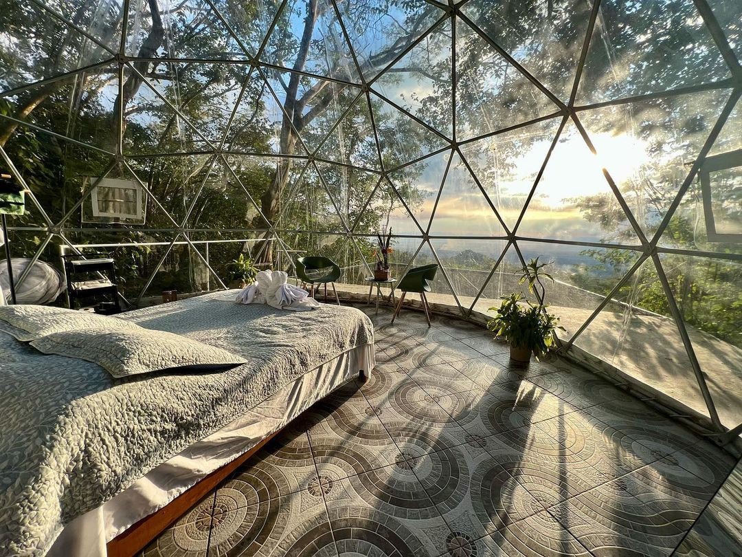 丛林中的透明穹顶