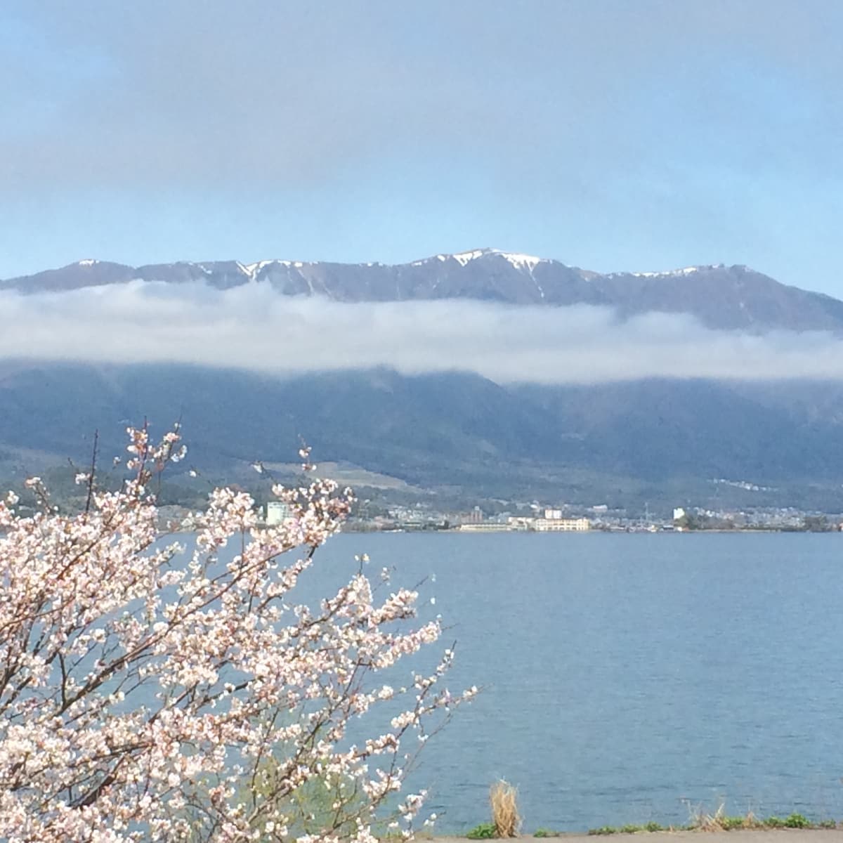 碧瓦湖（ Lake Biwa ）的整套单间公寓