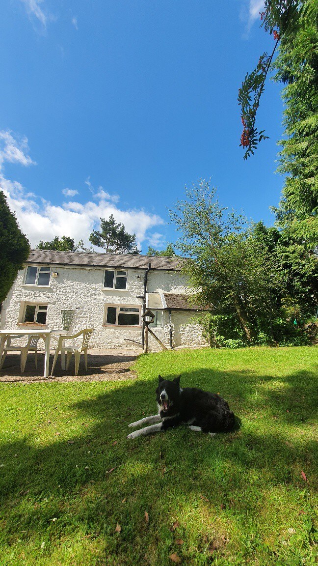 Ty Aderyn, Hirwaun, Brecon Beacons ，可入住10人