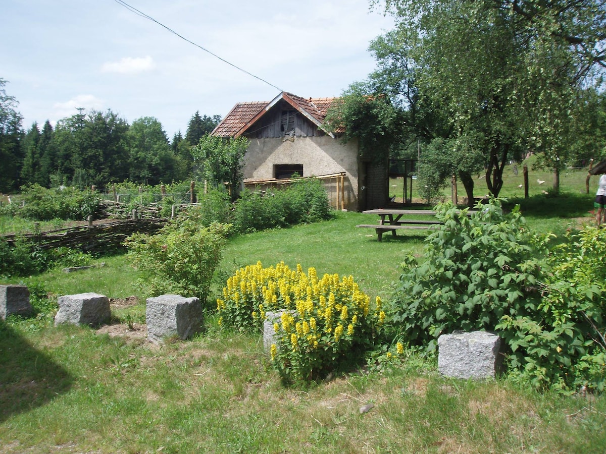 Gîte 4 pers - Ferme du ht Barba 10 mn de Gérardmer