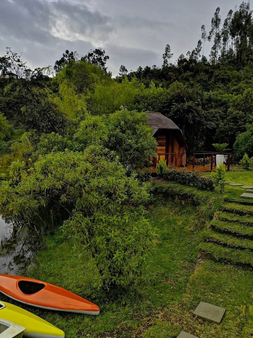 欣赏湖景和自然景观的美景