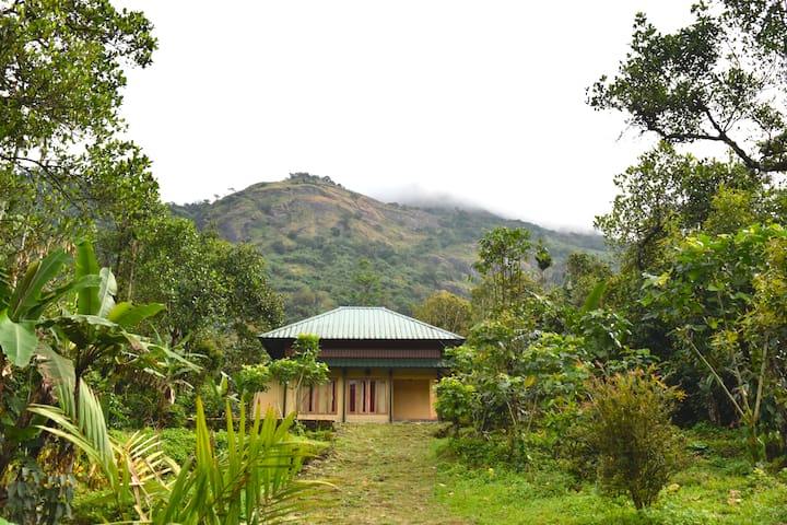 慕那尔(Munnar)的民宿