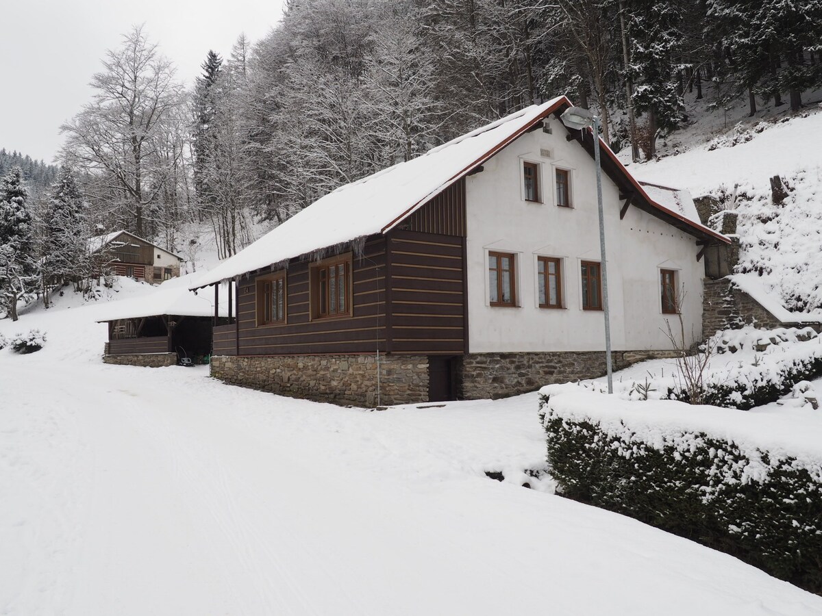 滑雪区附近的Tomášek度假木屋