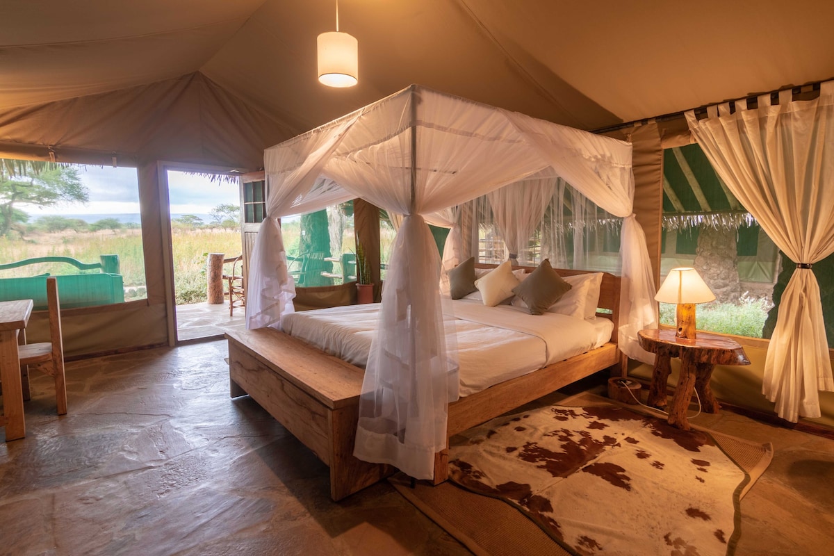 肯尼亚安博塞利（ Amboseli ） Kibo Safari营地