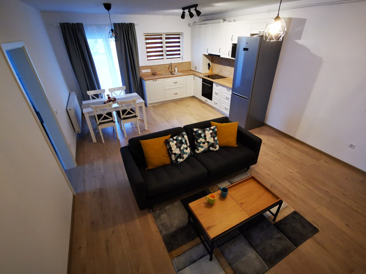 Modern Holiday Apartment Sibiu