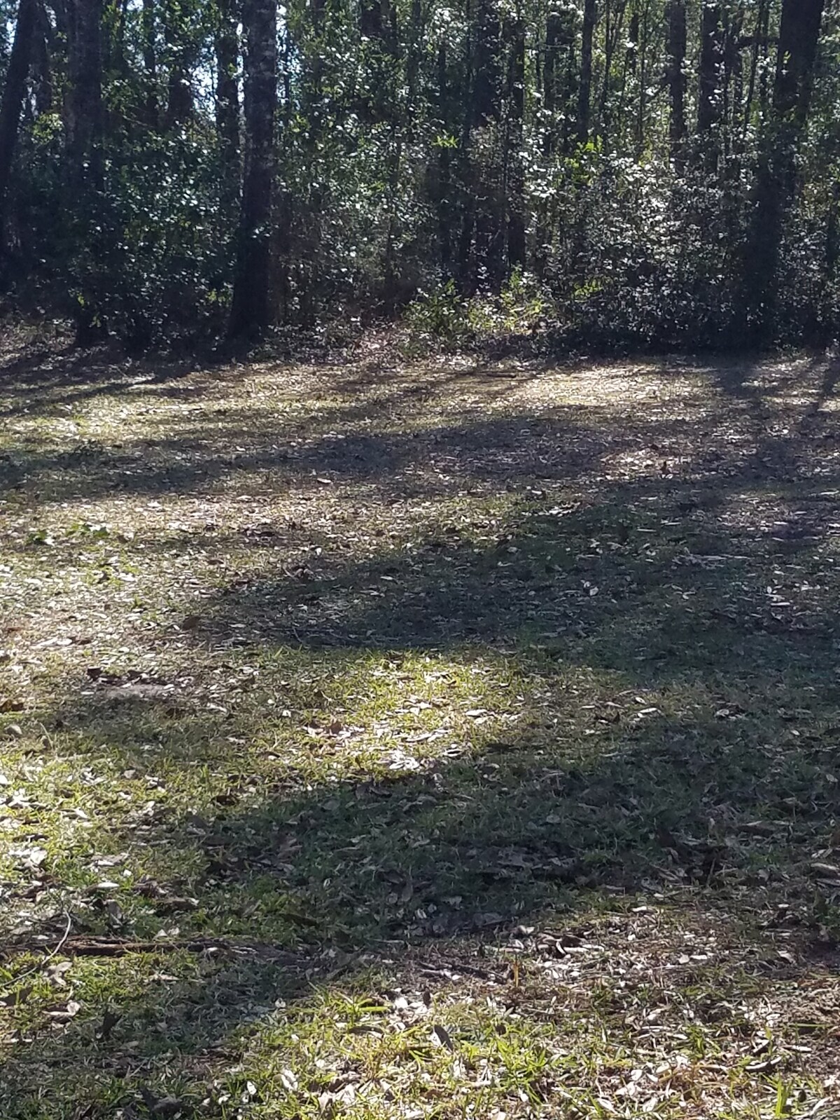 Camp site with 50 amp, water, septic fenced yard