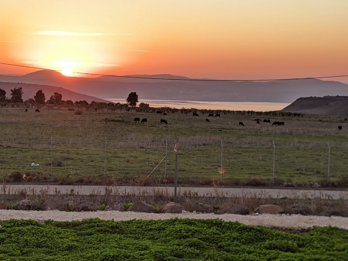 Kinneret view in the Golan hights