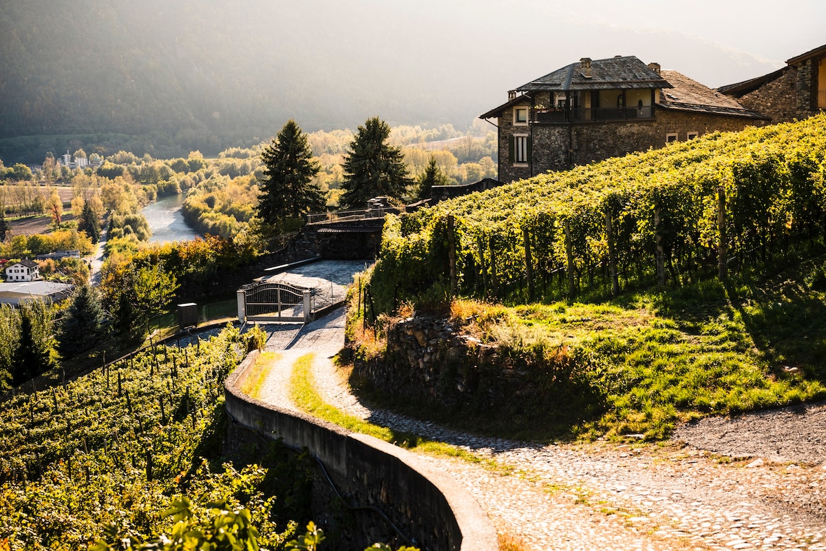 VILLA DEL LUPO: Crown of the Valtellina