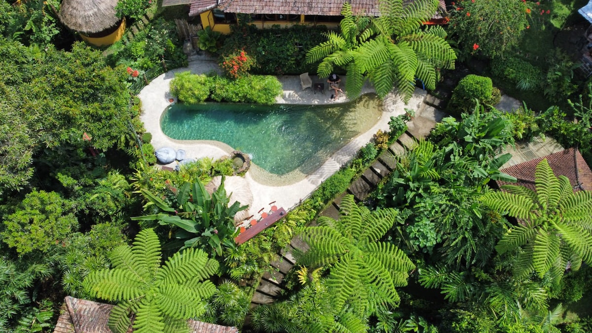 令人惊叹的丛林树屋天然泳池，可容纳2-5人