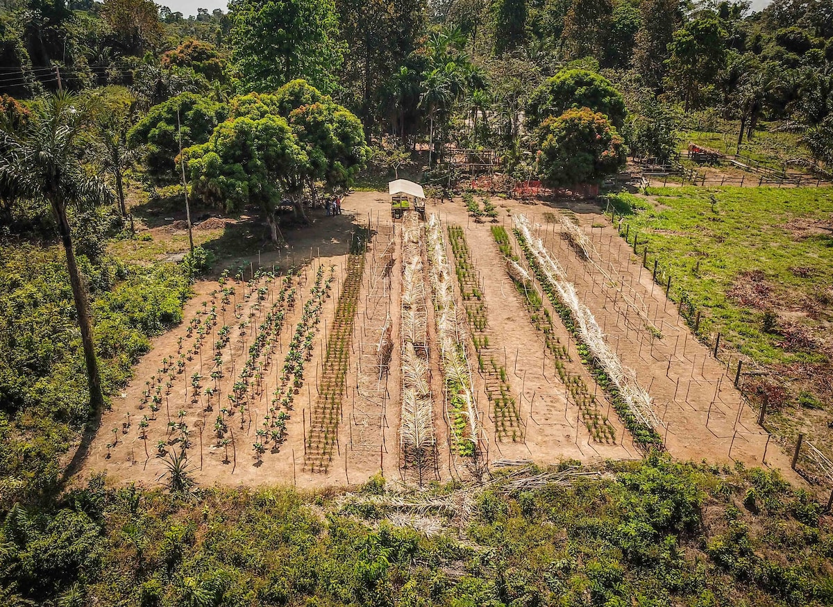 Sítio Agroflorestal Mandacaru