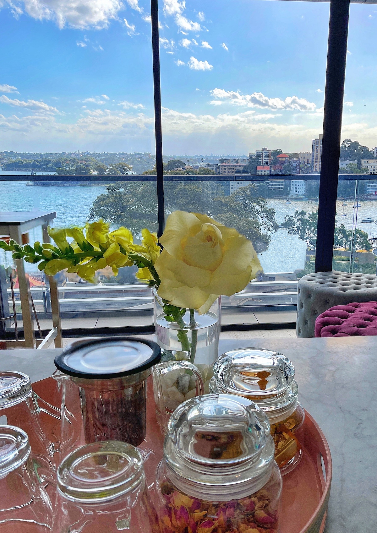 Luxury Apartment in Lavender Bay