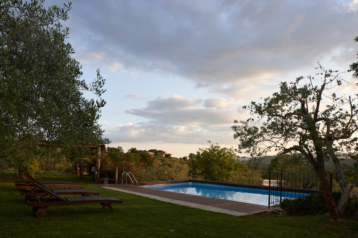La Vignaccia （老谷仓） -带私人游泳池的别墅