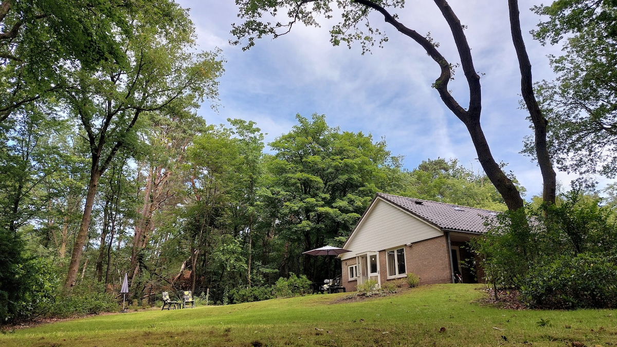 850平方米的温馨乡村小屋，以Veluwe为后院