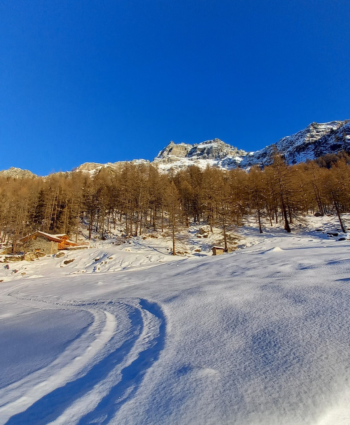 Alpe Colombé - Tsan公寓（ 1层）