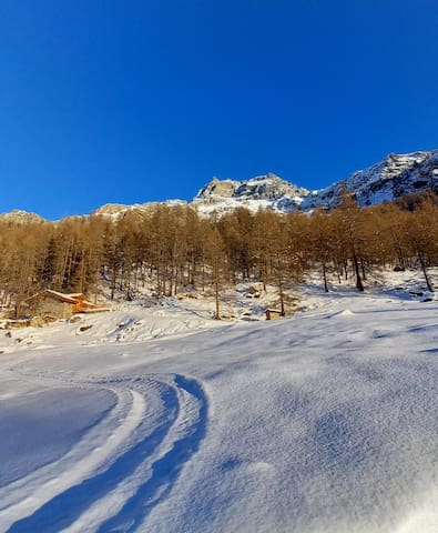 瓦尔图尔嫩凯 (Valtournenche)的民宿