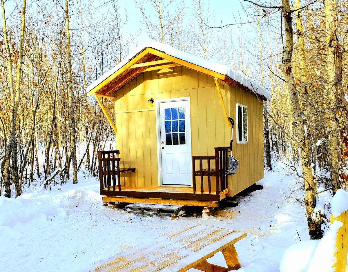 Pinochle Trail Cabin # 1 - 4张双层床