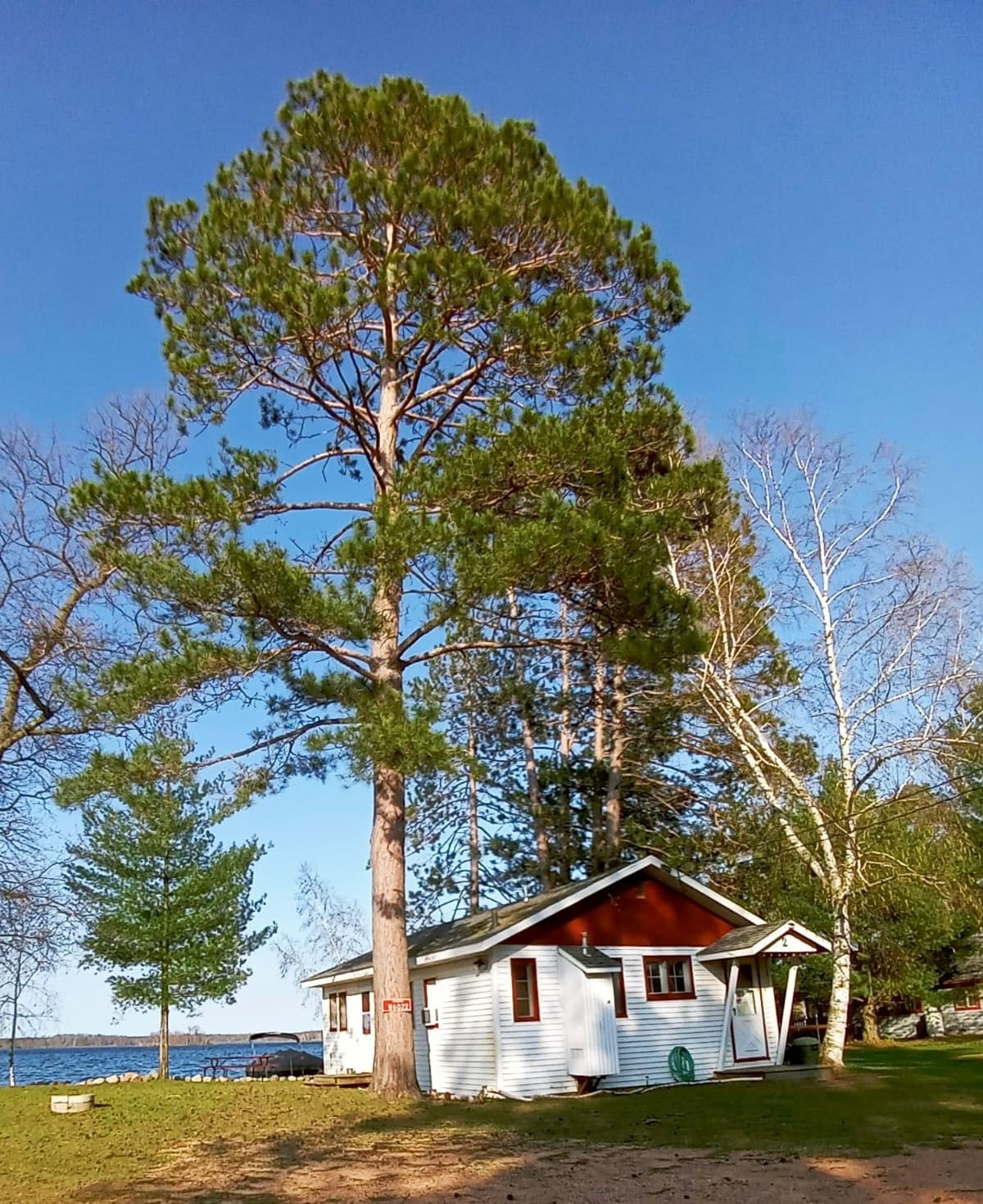 Pine Harbor #2 on the lake