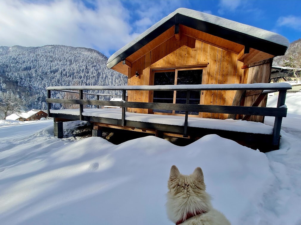 La cabane des rêves