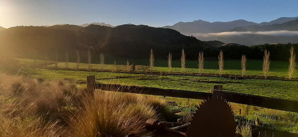 凯库拉(Kaikoura)的民宿