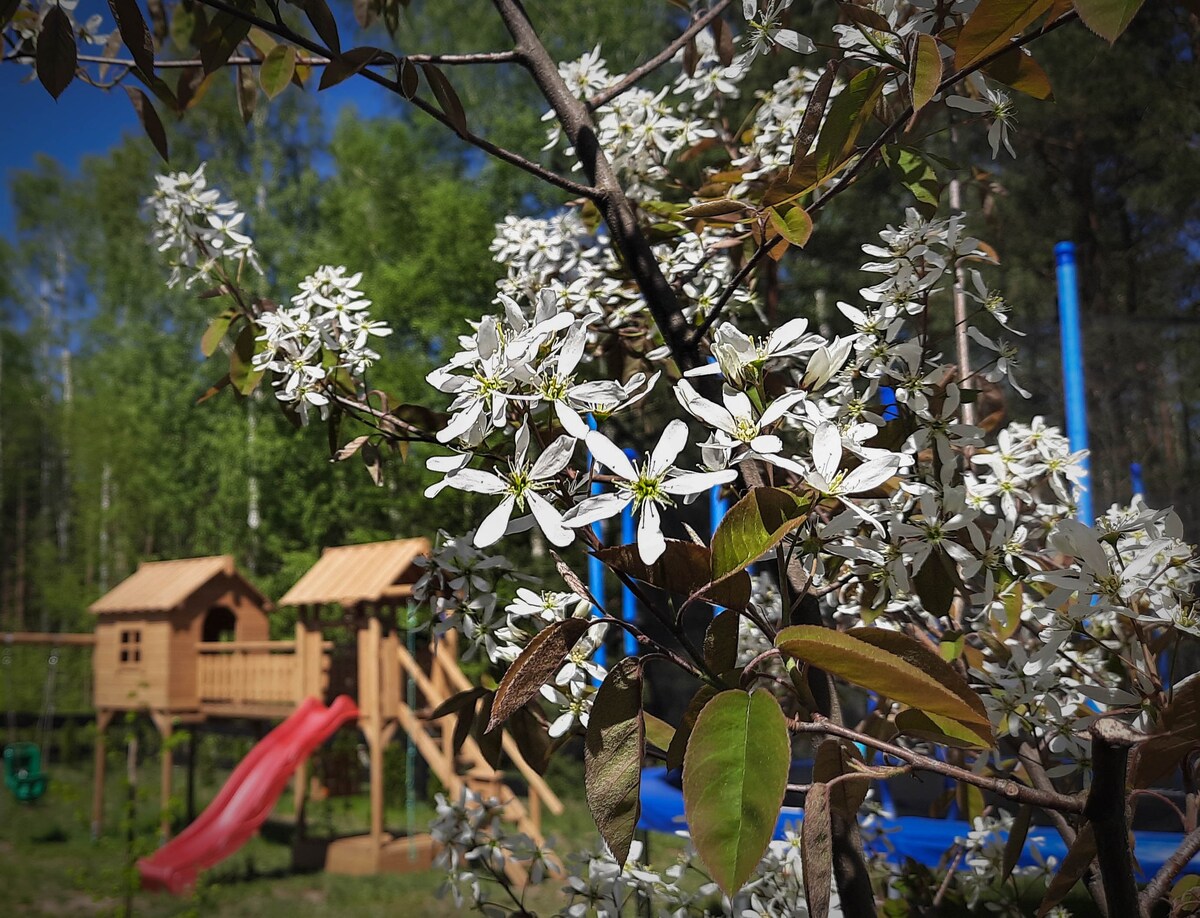 Chata Leśna Polana - domek Jeleń